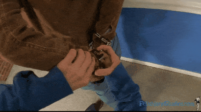 Cowgirl Bound and Arrested - Image 12